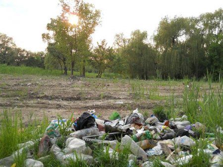 Из всех городских парков для отдыха пригодны только два Из всех городских парков для отдыха пригодны только два