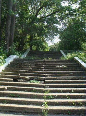 Из всех городских парков для отдыха пригодны только два Из всех городских парков для отдыха пригодны только два