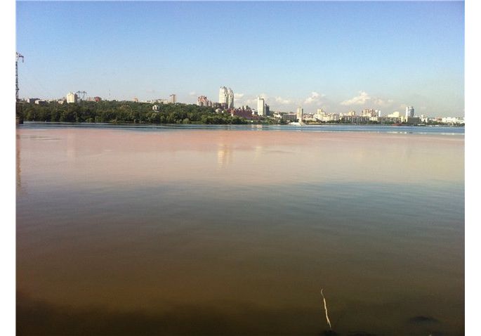 В Днепре заметили огромное пятно загрязнения
