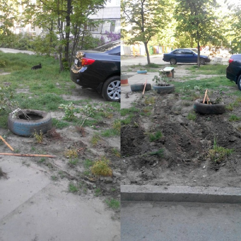 Бабушки пытались облагородить территорию