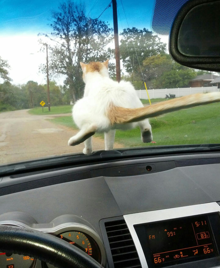 Wife Drives To Grandma