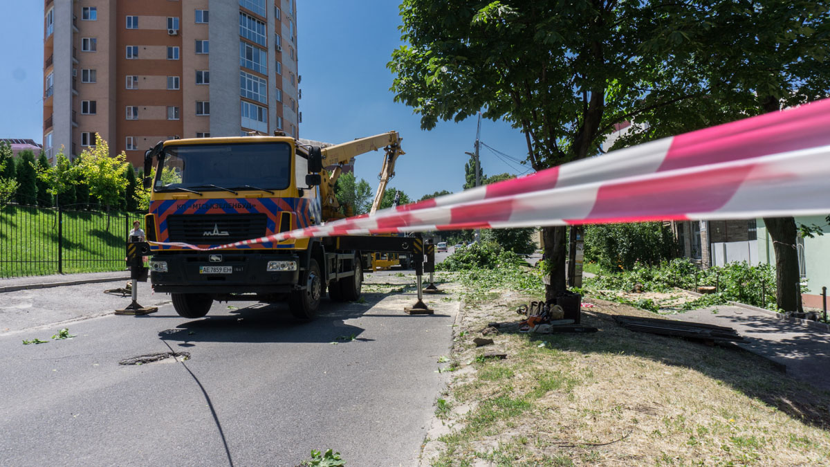 В это же время на Полигонной срезают аварийные деревья