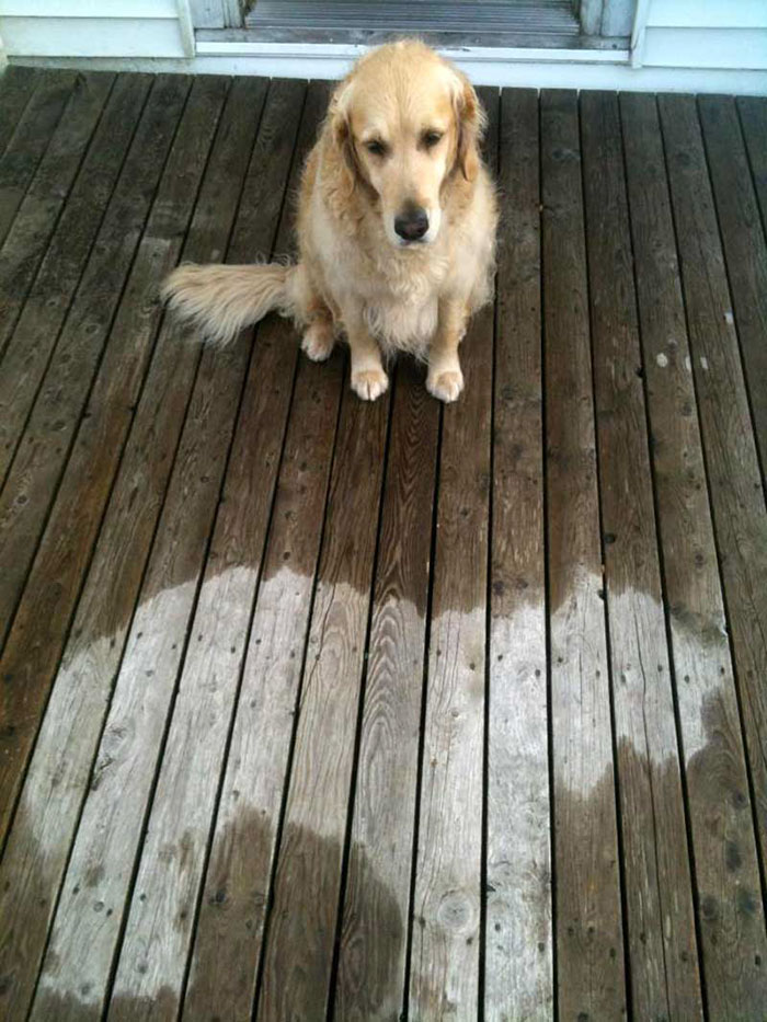 Zero Fucks Were Given That Rainy Day